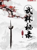 《武林秘录》小说封面