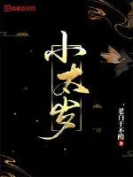 《小太岁》小说封面