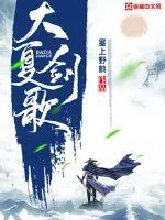《大夏剑歌》小说封面