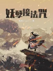 《妖孽接法咒》小说封面