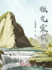 《板扎震武林》小说封面