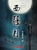 《西疆月》小说封面