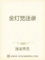《金灯觉迷录》小说封面