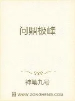 《问鼎极峰》小说封面