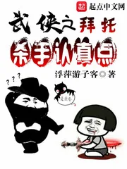 《拜托杀手认真点》小说封面