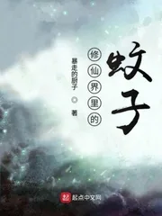 《修仙界里的蚊子》小说封面