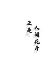 《正是人间花开》小说封面