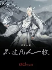 《不过凡人一枚》小说封面