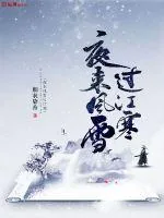 《夜来风雪过江寒》小说封面