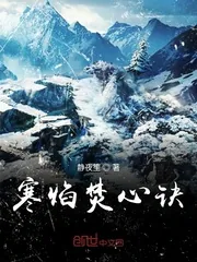 《寒焰焚心诀》小说封面