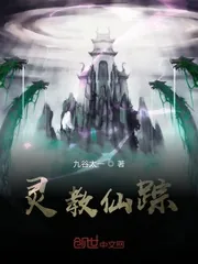 《灵教仙踪》小说封面
