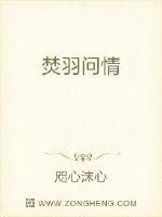《焚羽问情》小说封面