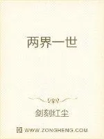 《完整的世界》小说封面