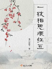 《一枝相思煨红豆》小说封面