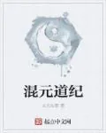 《混元道纪》小说封面