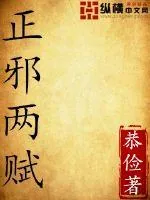 《正邪两赋》小说封面