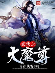 《武侠之大魔尊》小说封面