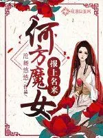 《何方魔女报上名来》小说封面
