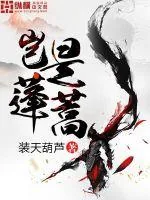《岂是蓬蒿》小说封面