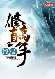《终极修真高手》小说封面