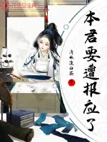 《本君要遭报应了》小说封面
