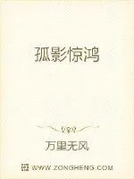 《孤影惊鸿》小说封面