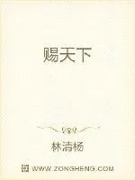 《赐天下》小说封面