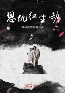 《恩仇红尘劫》小说封面