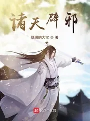 《诸天辟邪》小说封面