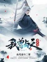 《我曾与天肩并肩》小说封面