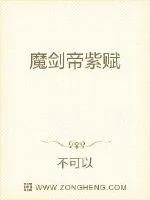 《魔剑帝紫赋》小说封面