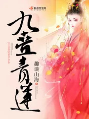 《九叠青莲》小说封面