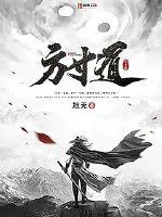 《方寸道》小说封面