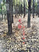 《弋鱼》小说封面