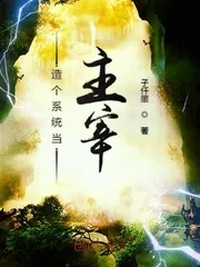 《造个系统当主宰》小说封面