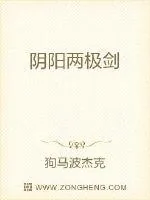《阴阳两极剑》小说封面