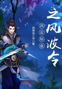 《风云际会之风波令》小说封面