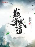 《巅峰武道》小说封面