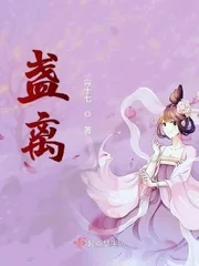 《盏离》小说封面