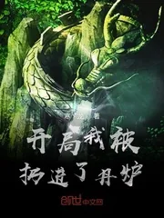 《开局我被扔进了丹炉》小说封面