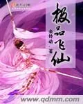 《极品飞仙》小说封面