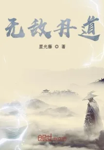 《无敌丹道》小说封面