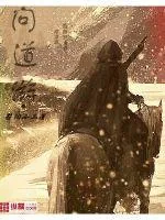 《问道游》小说封面
