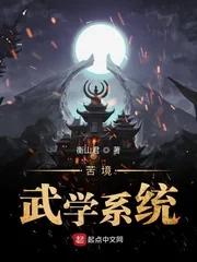 《苦境武学系统》小说封面