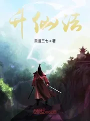 《升仙法》小说封面