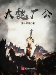 《大魏厂公》小说封面