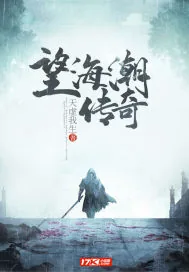 《望海潮传奇》小说封面