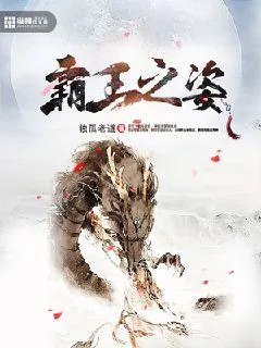《霸王之姿》小说封面