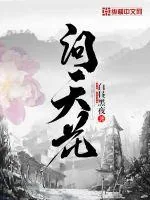 《问天花》小说封面