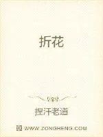 《折花》小说封面